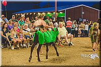 LCFAIR15-2958.jpg