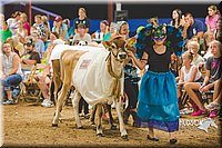 LCFAIR15-2965.jpg