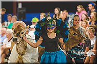 LCFAIR15-2966.jpg