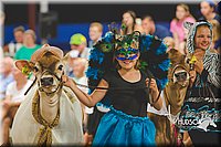 LCFAIR15-2967.jpg