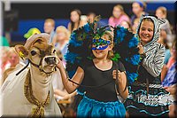 LCFAIR15-2968.jpg