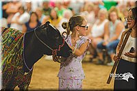 LCFAIR15-3001.jpg