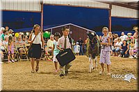 LCFAIR15-3007.jpg