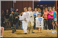 LCFAIR15-3010.jpg