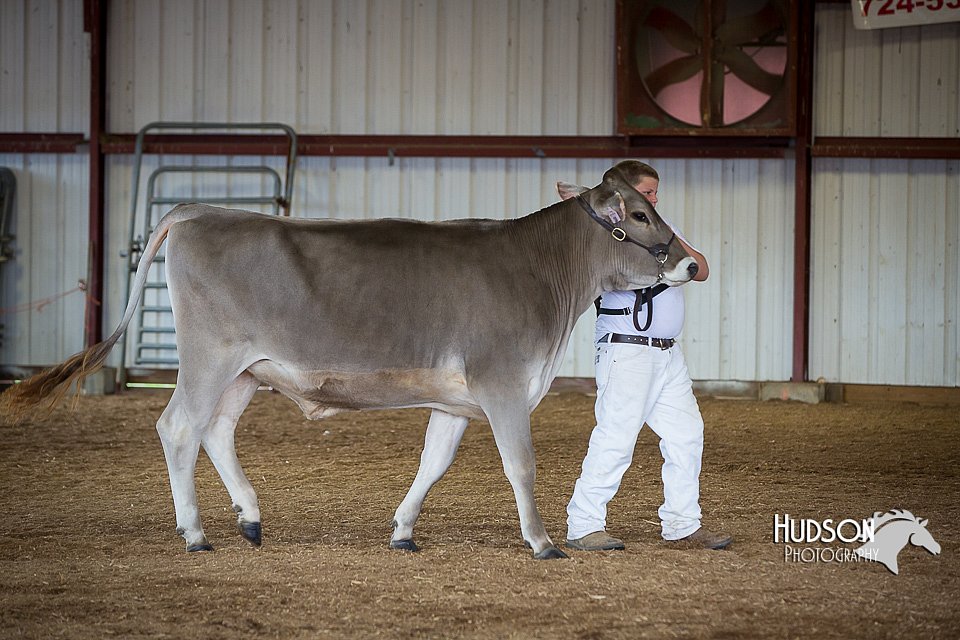 LCFAIR15-2519.jpg