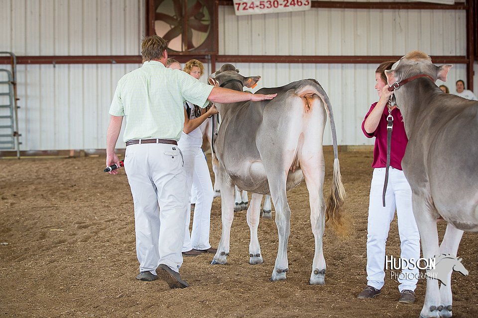 LCFAIR15-2536.jpg