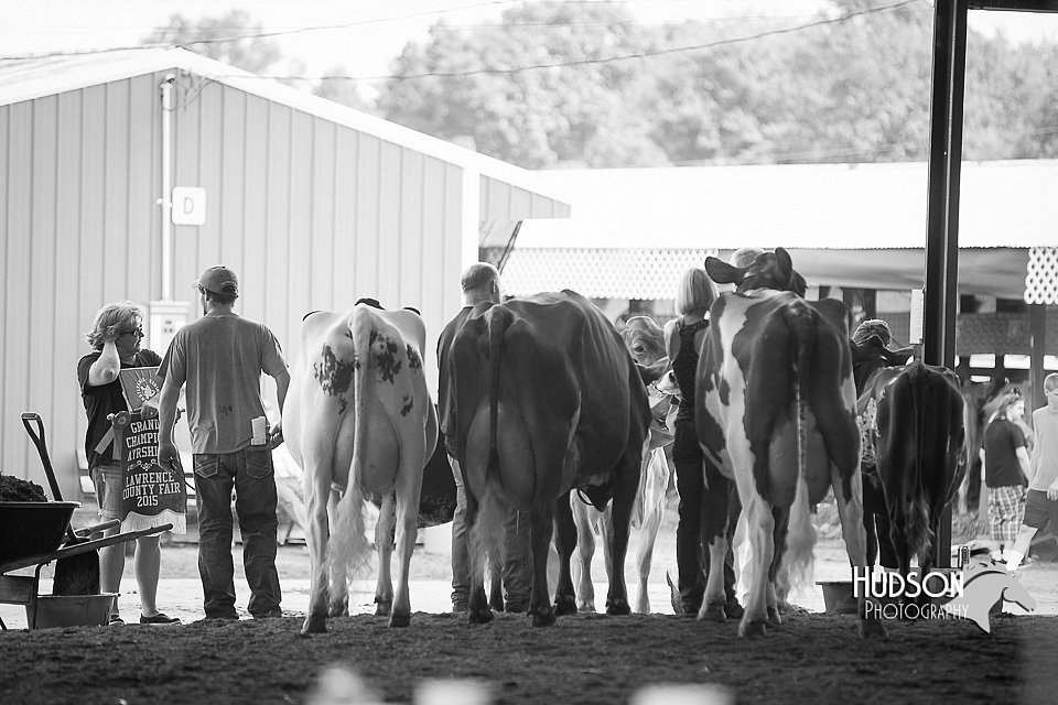 LCFAIR15-2568.jpg