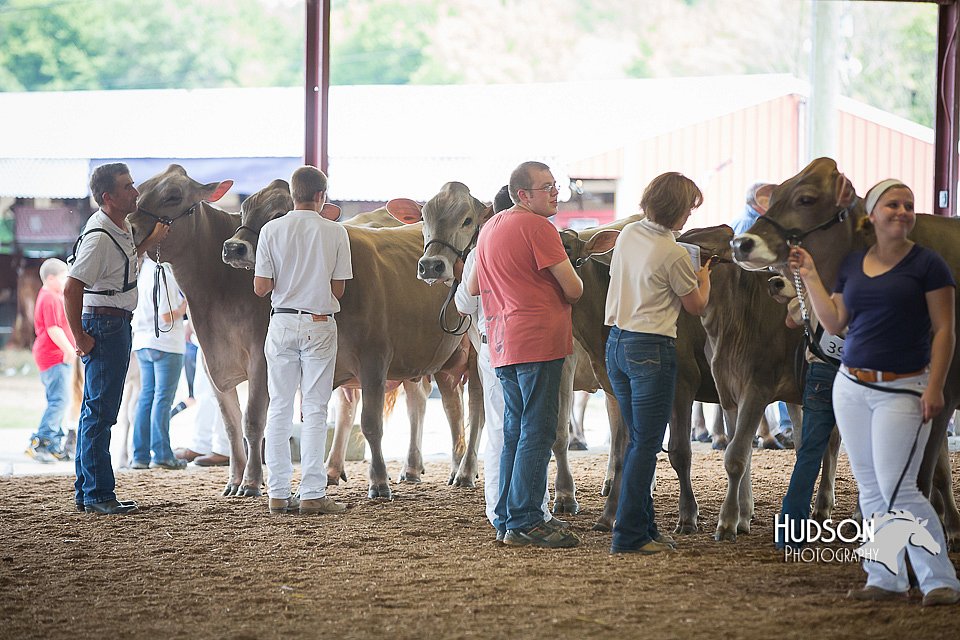 LCFAIR15-2582.jpg