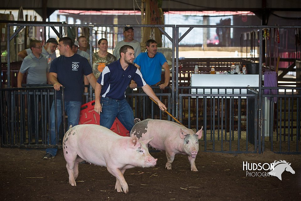 LCFAIR15-2459.jpg