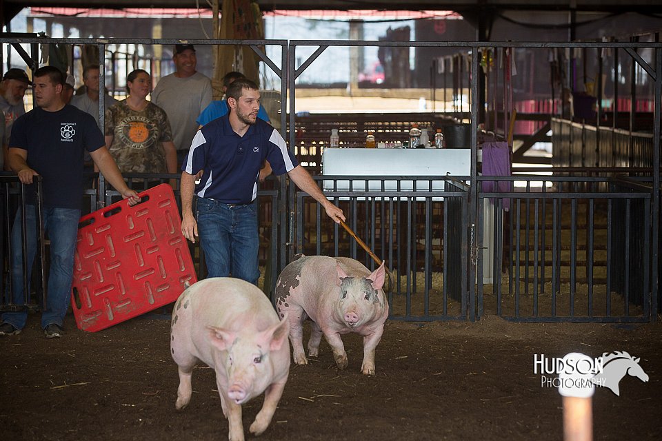 LCFAIR15-2460.jpg