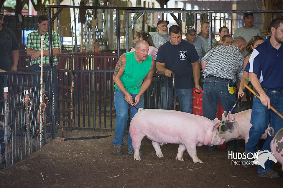 LCFAIR15-2462.jpg