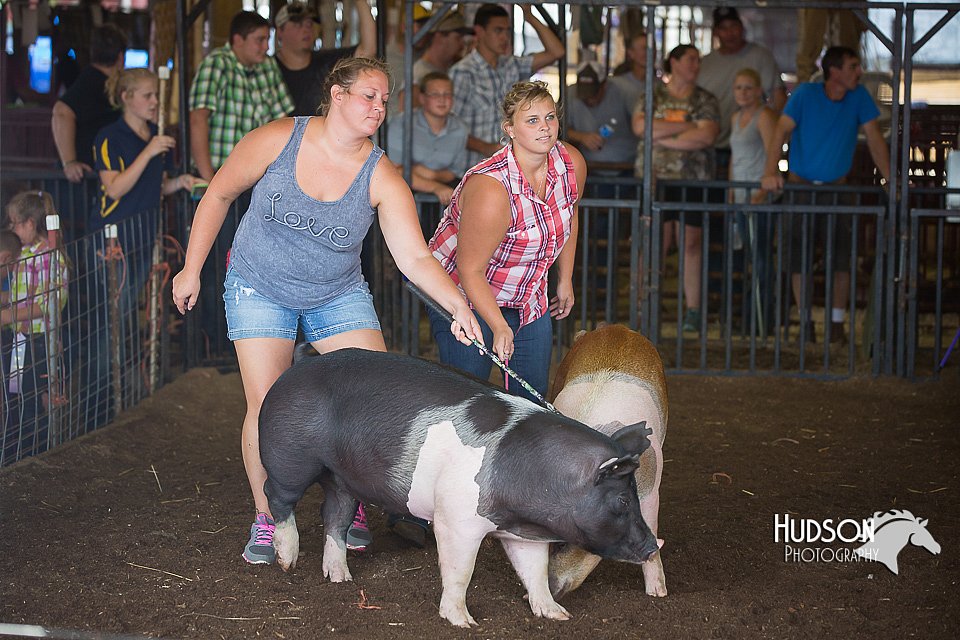 LCFAIR15-2468.jpg