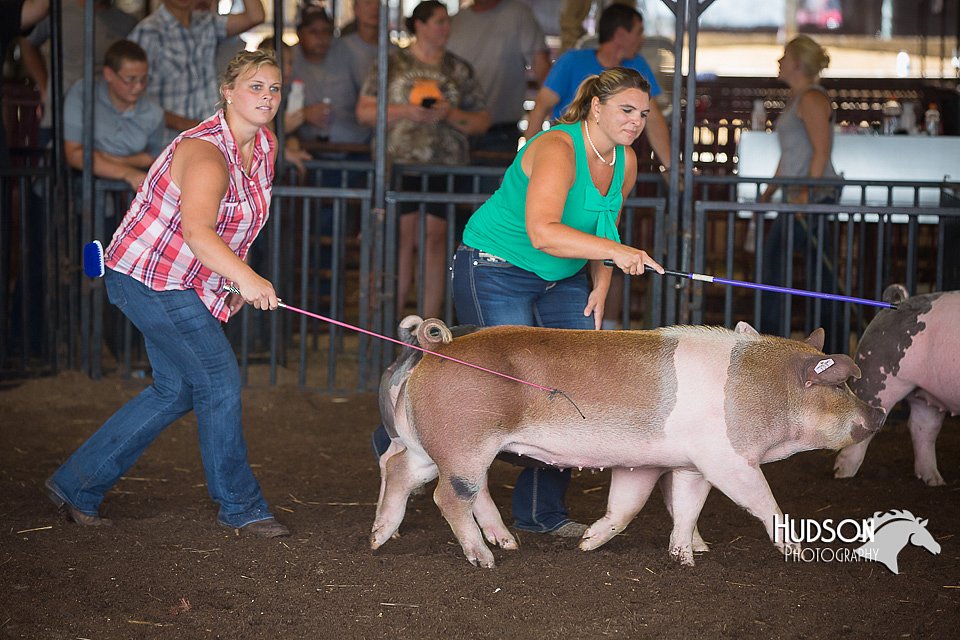 LCFAIR15-2473.jpg