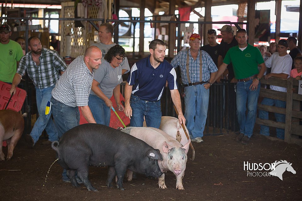 LCFAIR15-2478.jpg