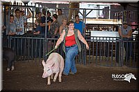 LCFAIR15-2477.jpg