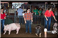 LCFAIR15-1913.jpg