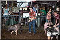 LCFAIR15-1917.jpg