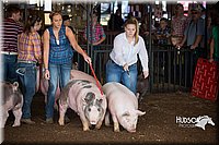 LCFAIR15-1922.jpg