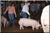 LCFAIR15-1925.jpg