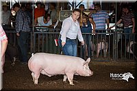 LCFAIR15-1926.jpg