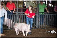 LCFAIR15-1930.jpg