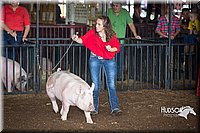 LCFAIR15-1931.jpg