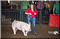 LCFAIR15-1932.jpg