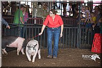 LCFAIR15-1934.jpg