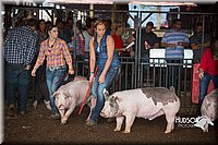 LCFAIR15-1936.jpg