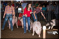 LCFAIR15-1939.jpg