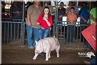 LCFAIR15-1942.jpg