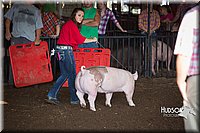 LCFAIR15-1943.jpg