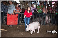 LCFAIR15-1944.jpg