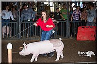 LCFAIR15-1950.jpg