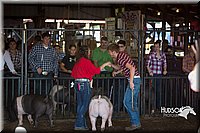 LCFAIR15-1954.jpg