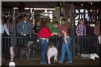 LCFAIR15-1955.jpg