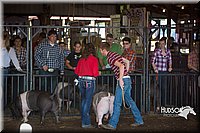 LCFAIR15-1956.jpg