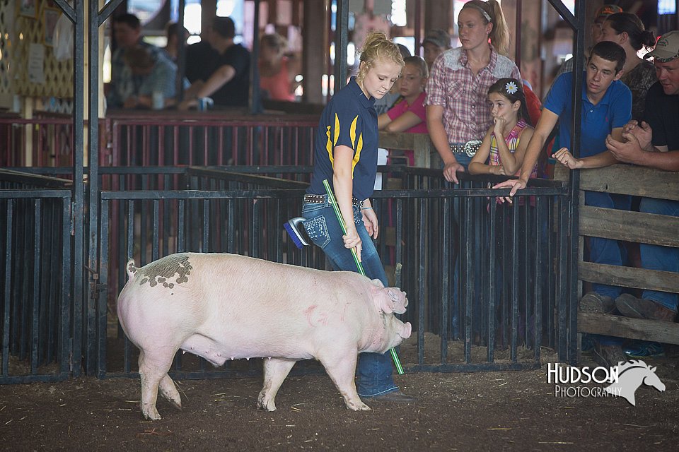 LCFAIR15-1988.jpg