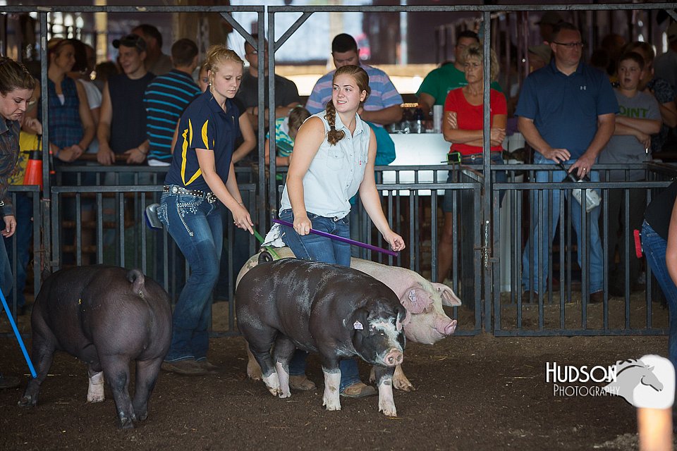 LCFAIR15-1994.jpg