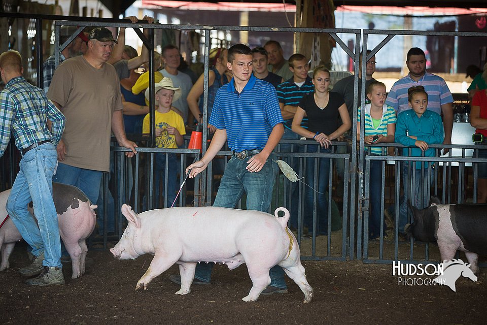 LCFAIR15-2000.jpg