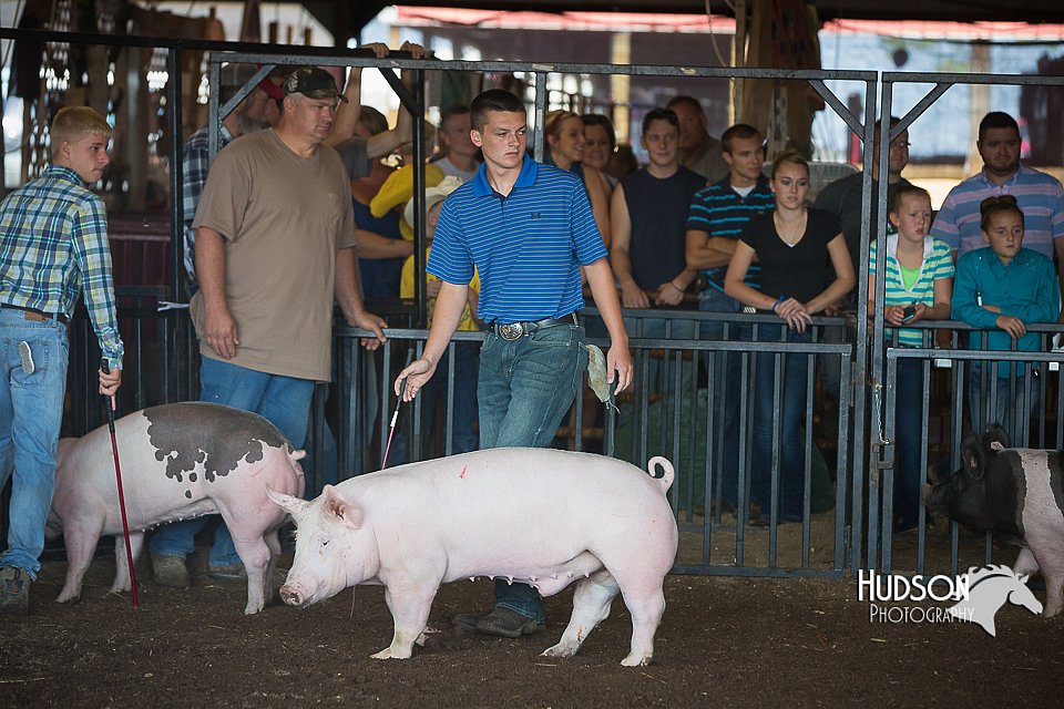 LCFAIR15-2001.jpg
