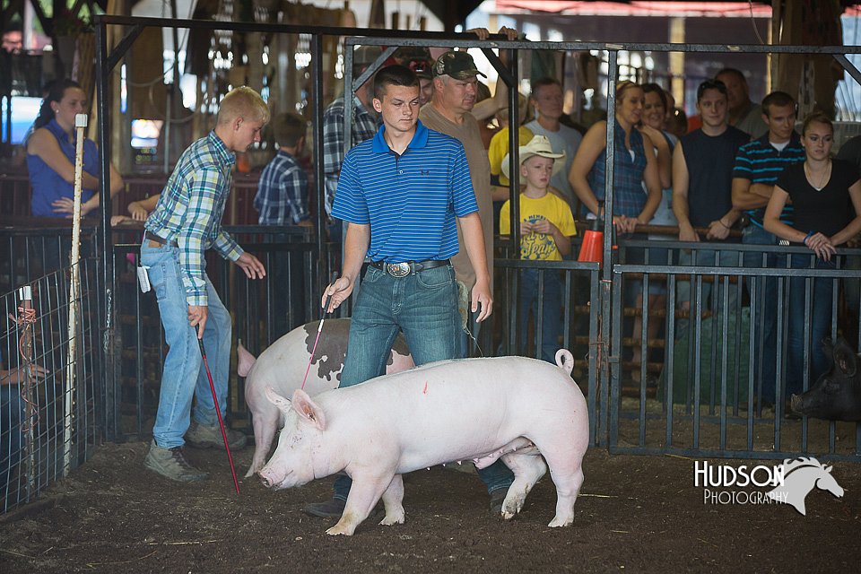 LCFAIR15-2002.jpg