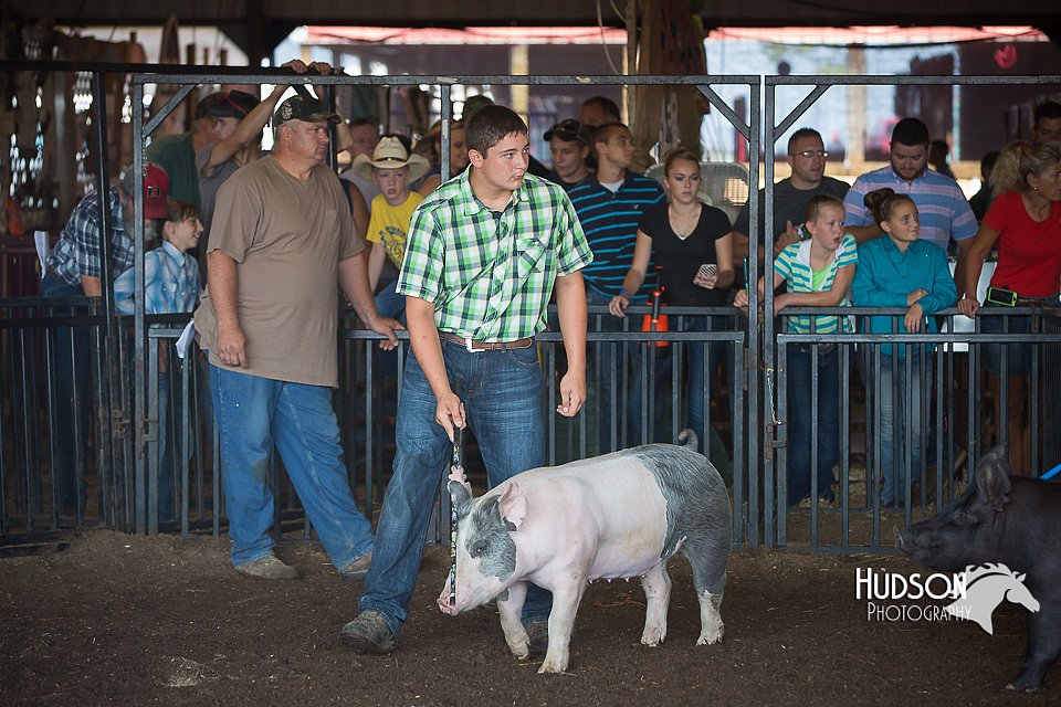 LCFAIR15-2008.jpg