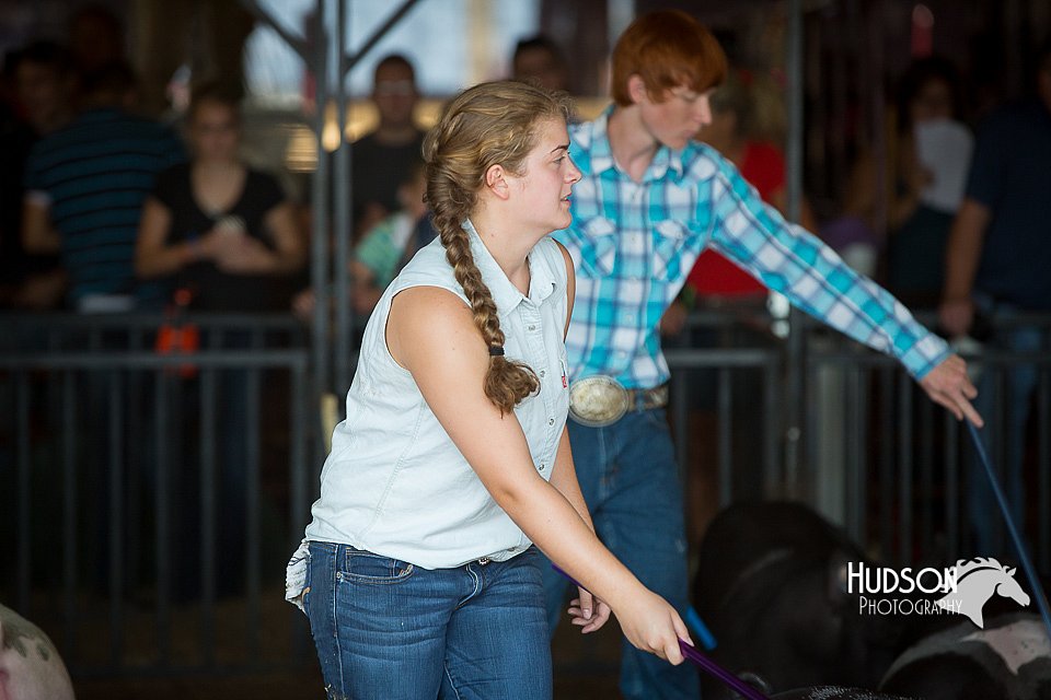 LCFAIR15-2010.jpg