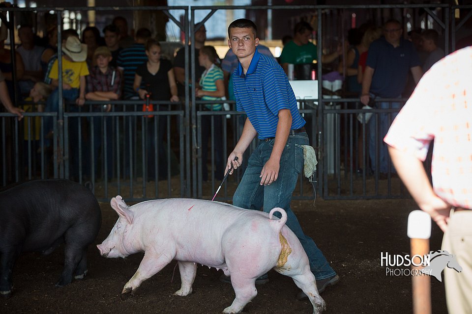 LCFAIR15-2012.jpg