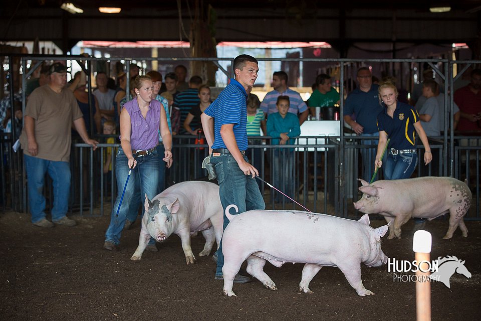 LCFAIR15-2014.jpg