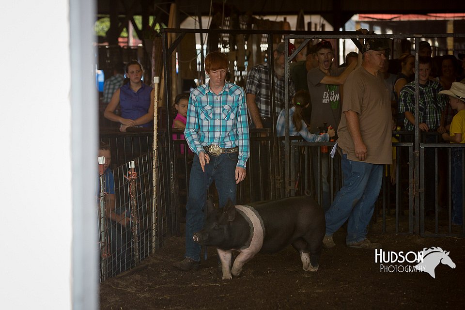 LCFAIR15-2015.jpg