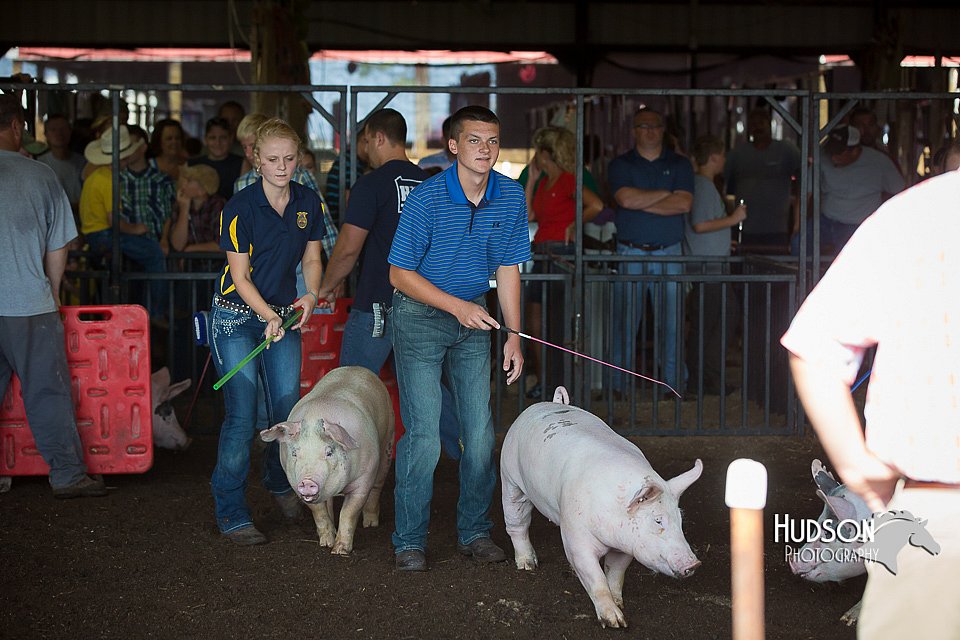 LCFAIR15-2016.jpg