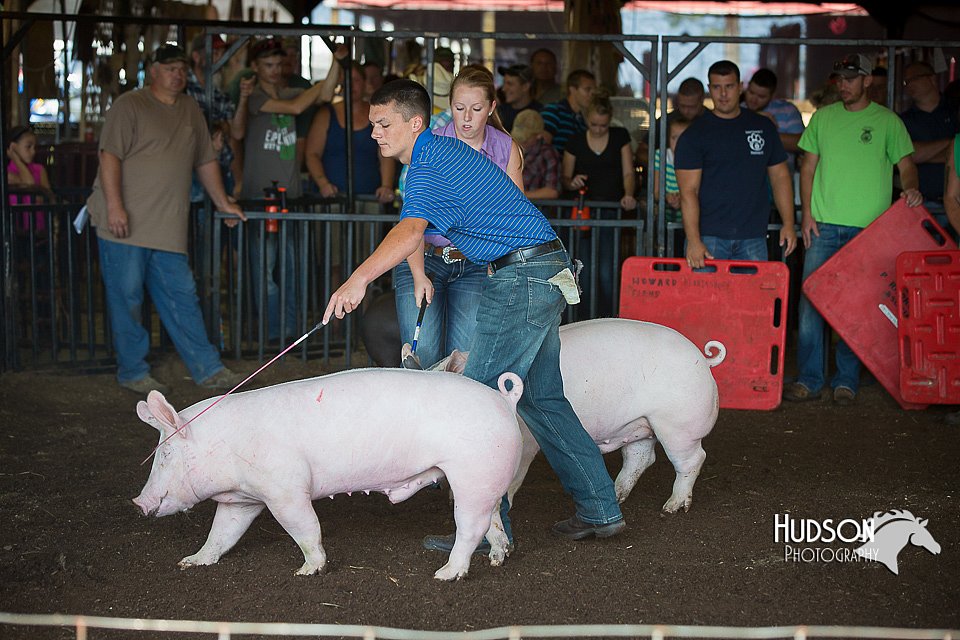 LCFAIR15-2019.jpg