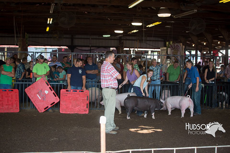 LCFAIR15-2031.jpg